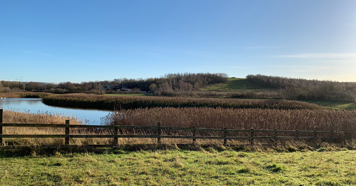 Rainton Meadows Nature Reserve